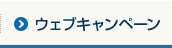 ウェブキャンペーン