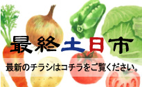 最新のチラシ